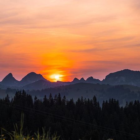 Saanen Gstaad Youth Hostel Dış mekan fotoğraf