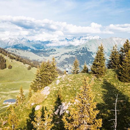 Saanen Gstaad Youth Hostel Dış mekan fotoğraf