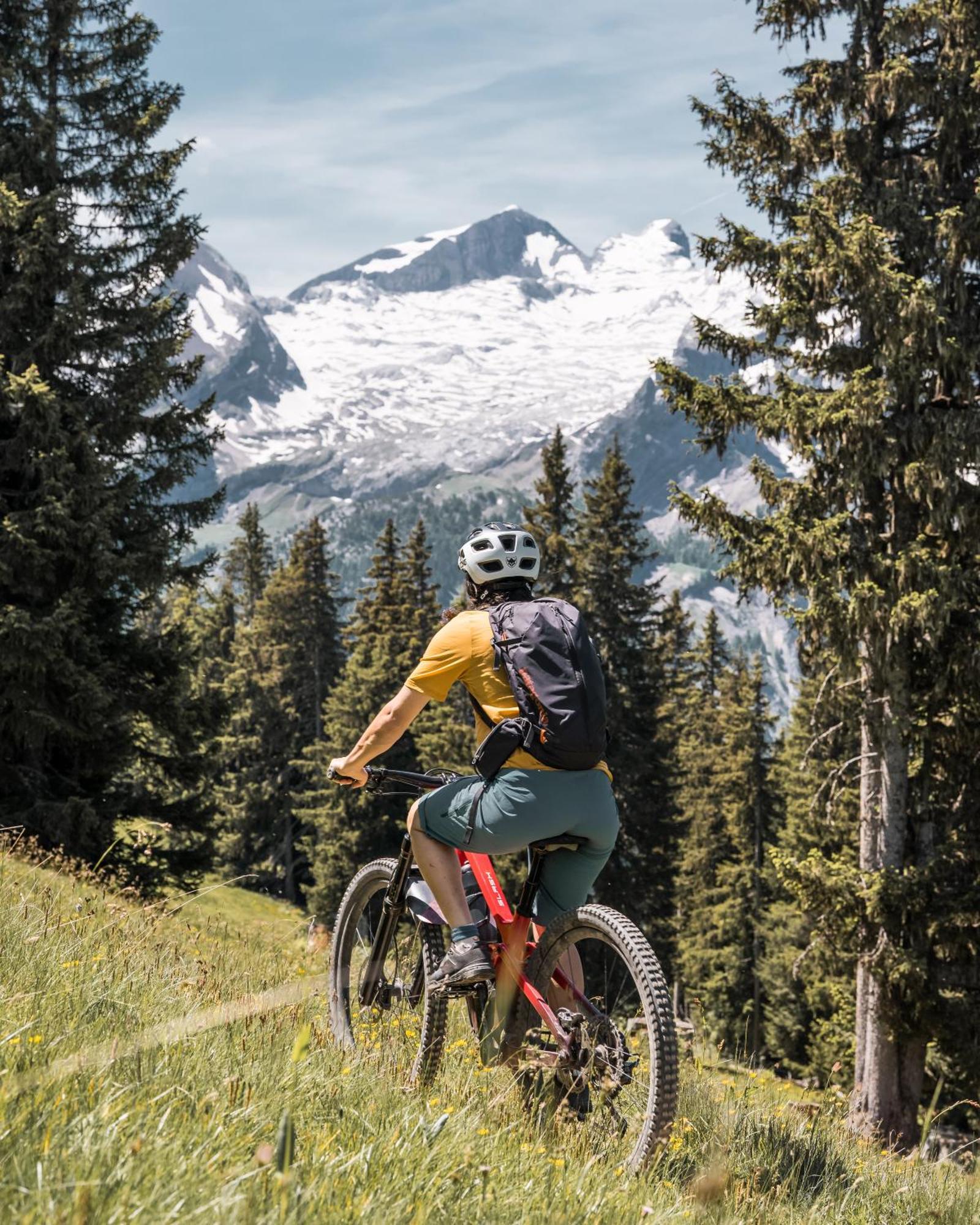 Saanen Gstaad Youth Hostel Dış mekan fotoğraf